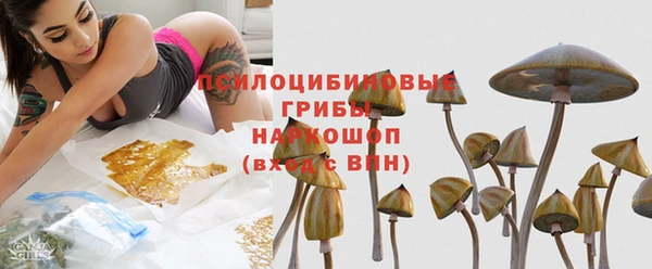 крисы Абинск