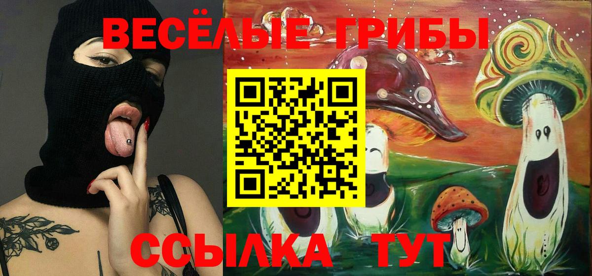 Галлюциногенные грибы Magic Shrooms Заволжье