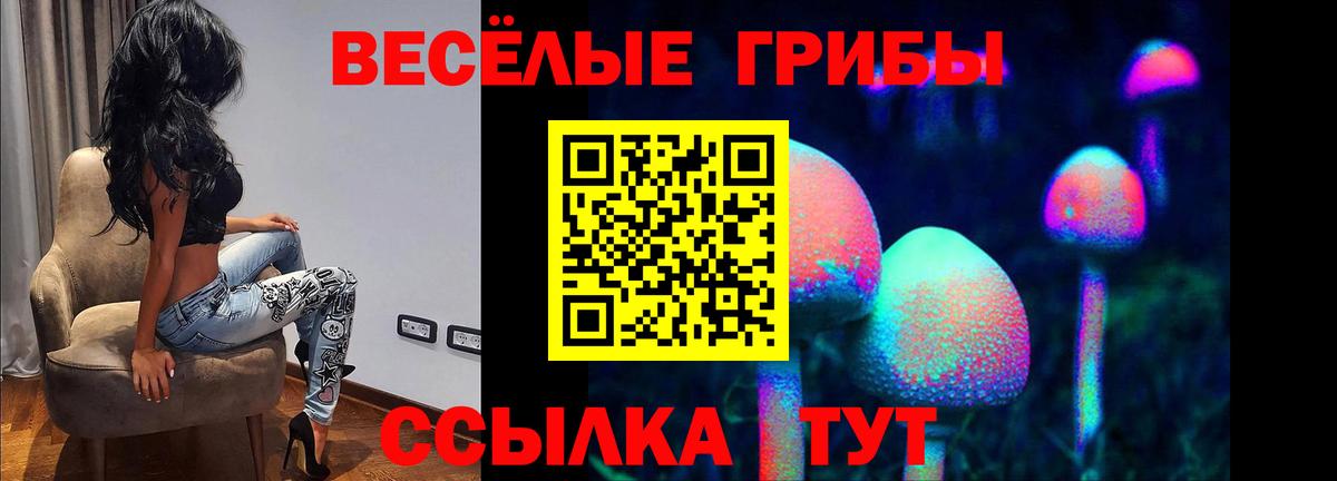 Заволжье  Галлюциногенные грибы Psilocybe  Вход с VPN 